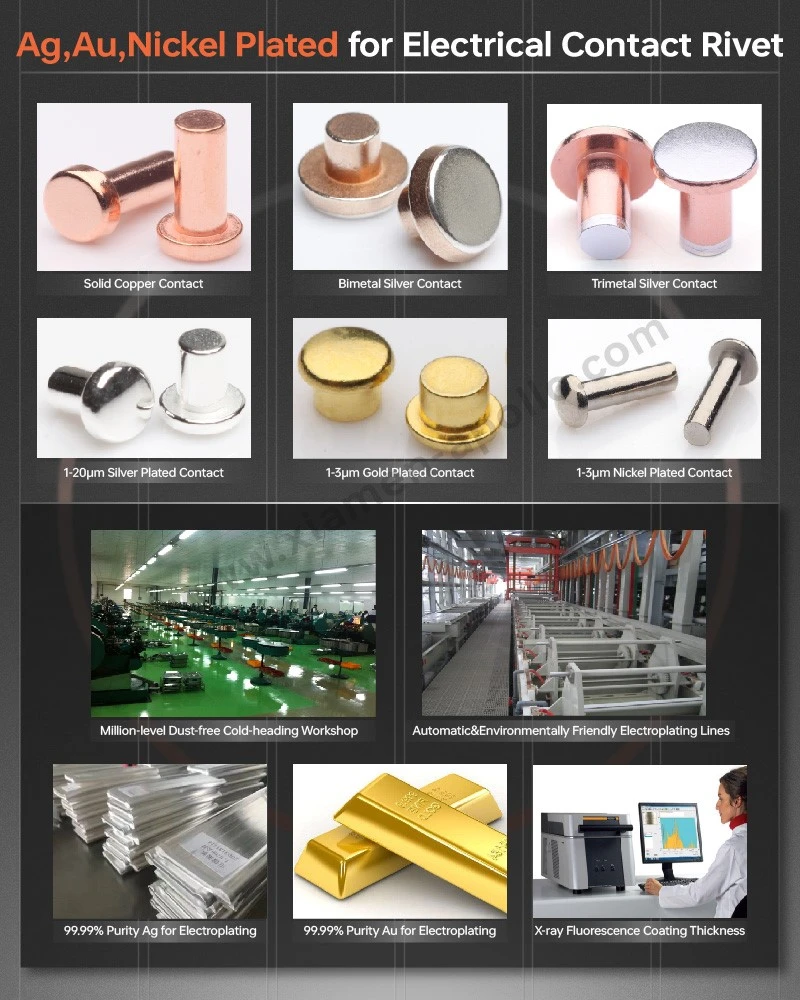 Ag, Au, Nickel Plate for Electrical Contact Copper Rivets Ag, Au, Nickel Plate for Electrical Contact Copper Rivets